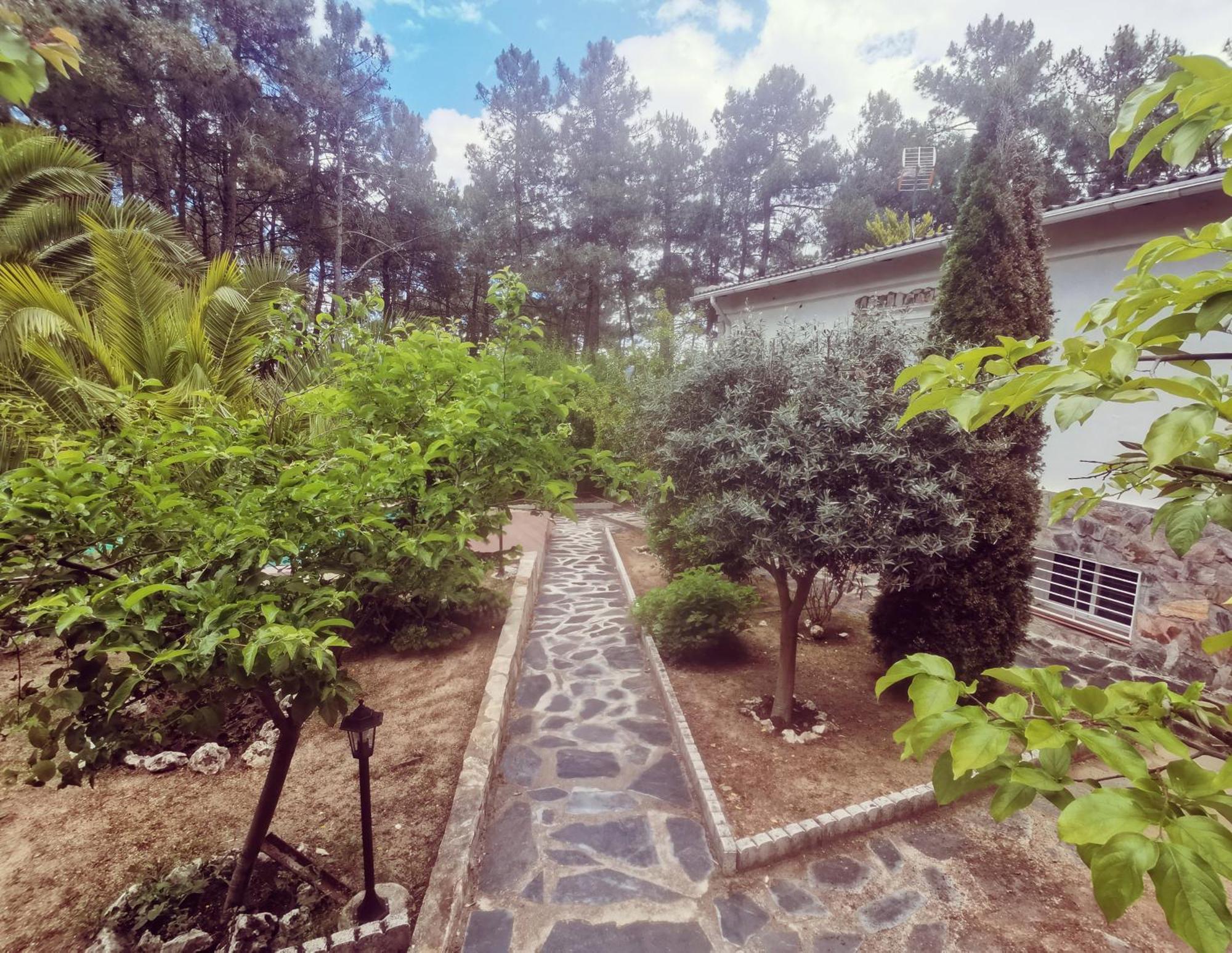 Bonita Casa En El Bosque - El Tiemblo Vila Exterior foto